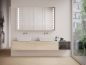 Preview: Spiegelschrank HALA