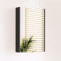 Preview: Spiegelschrank 40cm (Anthrazit matt)