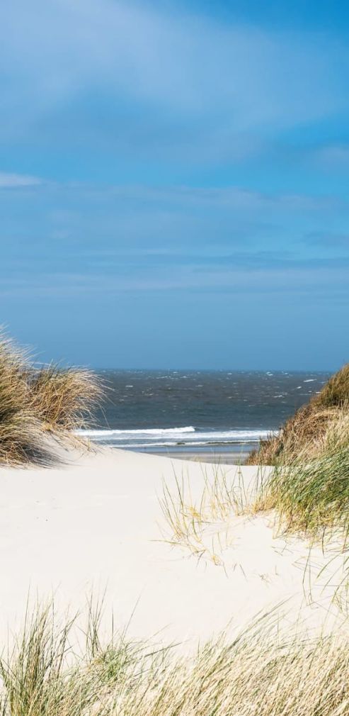 Duschrückwand Nordsee Strand